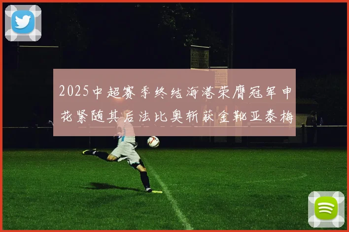 2025中超赛季终结海港荣膺冠军申花紧随其后法比奥斩获金靴亚泰梅州遗憾降级
