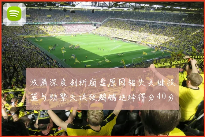 浓眉深度剖析崩盘原因错失关键投篮与频繁失误致鹈鹕逆转得分40分